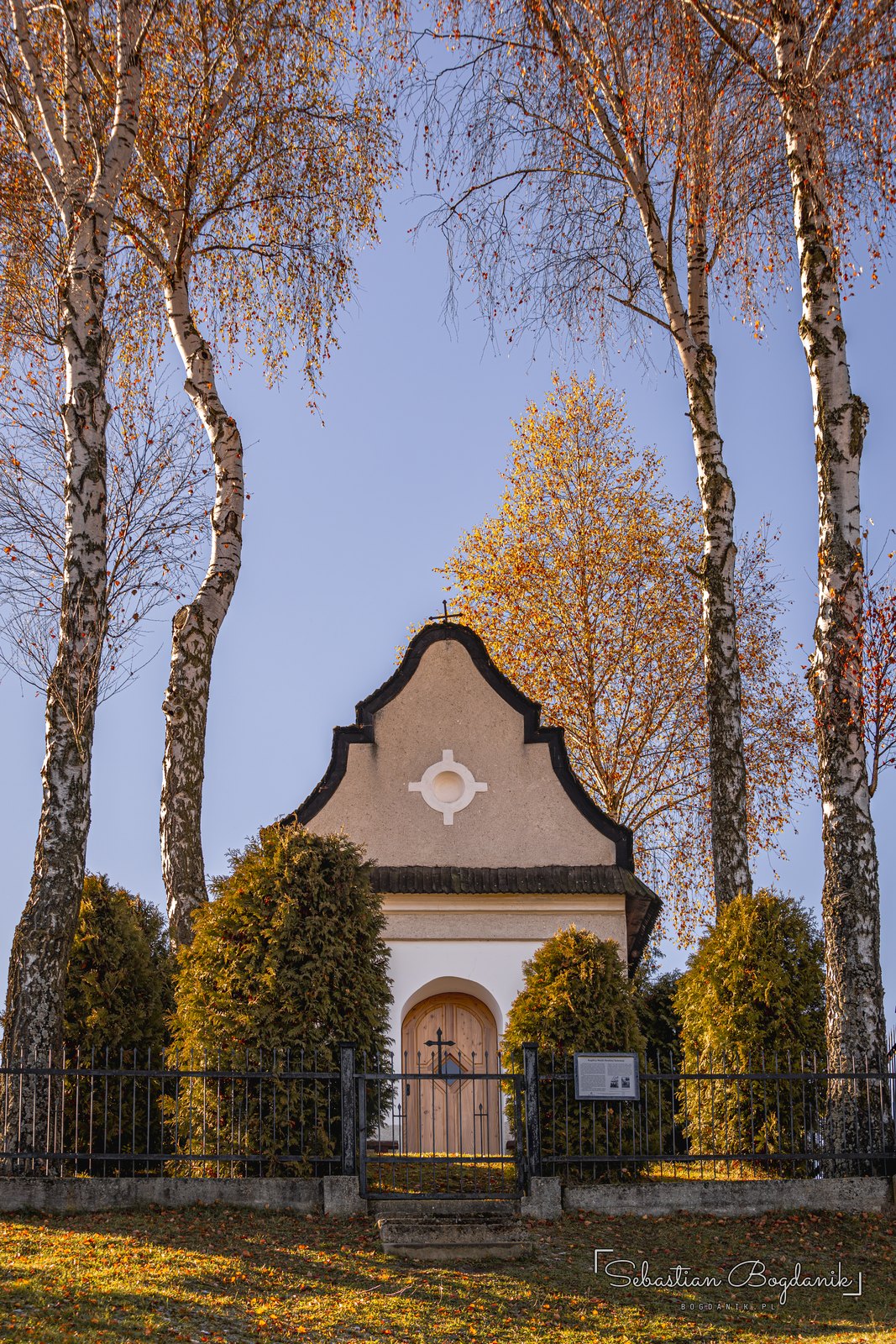 Barokowy szczyt kaplicy wśród brzóz i tui. Kaplica powstała około 1750 roku.