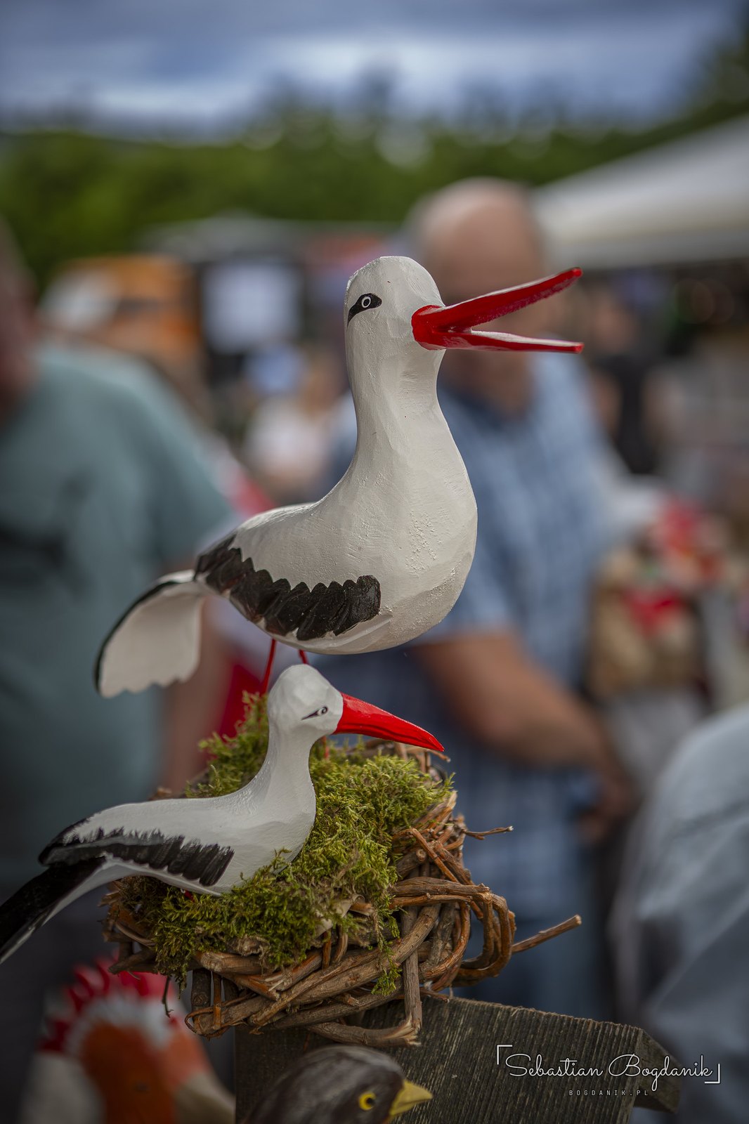 Storks in their nest.