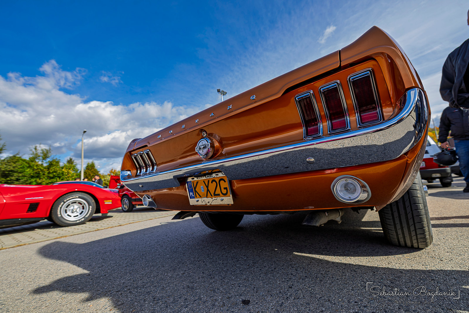 A second Mustang, a copper fastback (1/2)