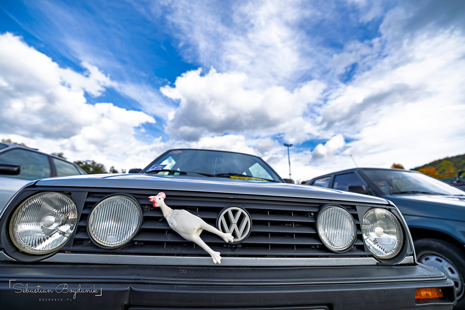 A plastic rooster on the grille of a Golf, guarding the henhouse